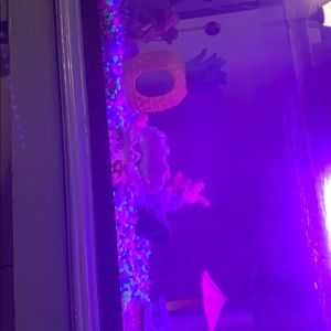 BRAND NEWWW !  Complete fish tank set.